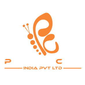 Panacea Civil India Pvt Ltd Logo